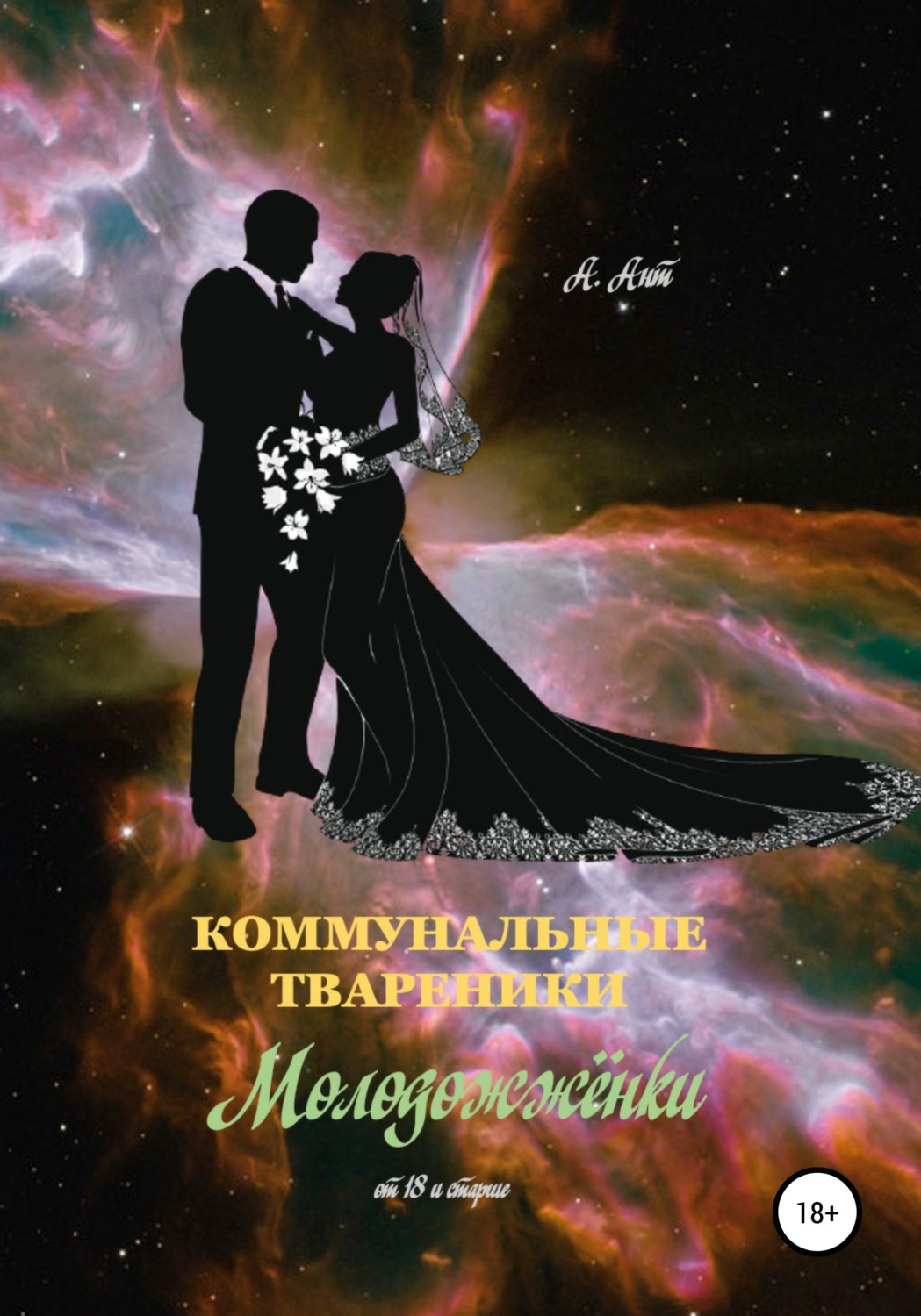 Обложка книги «Коммунальные твареники. Молодожжёнки»