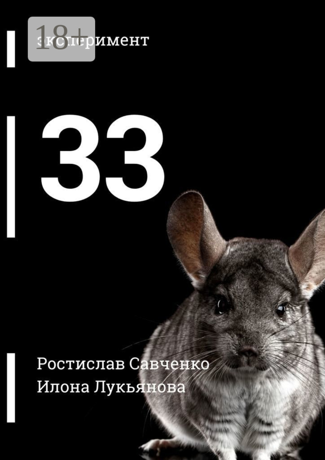 Обложка книги «33»