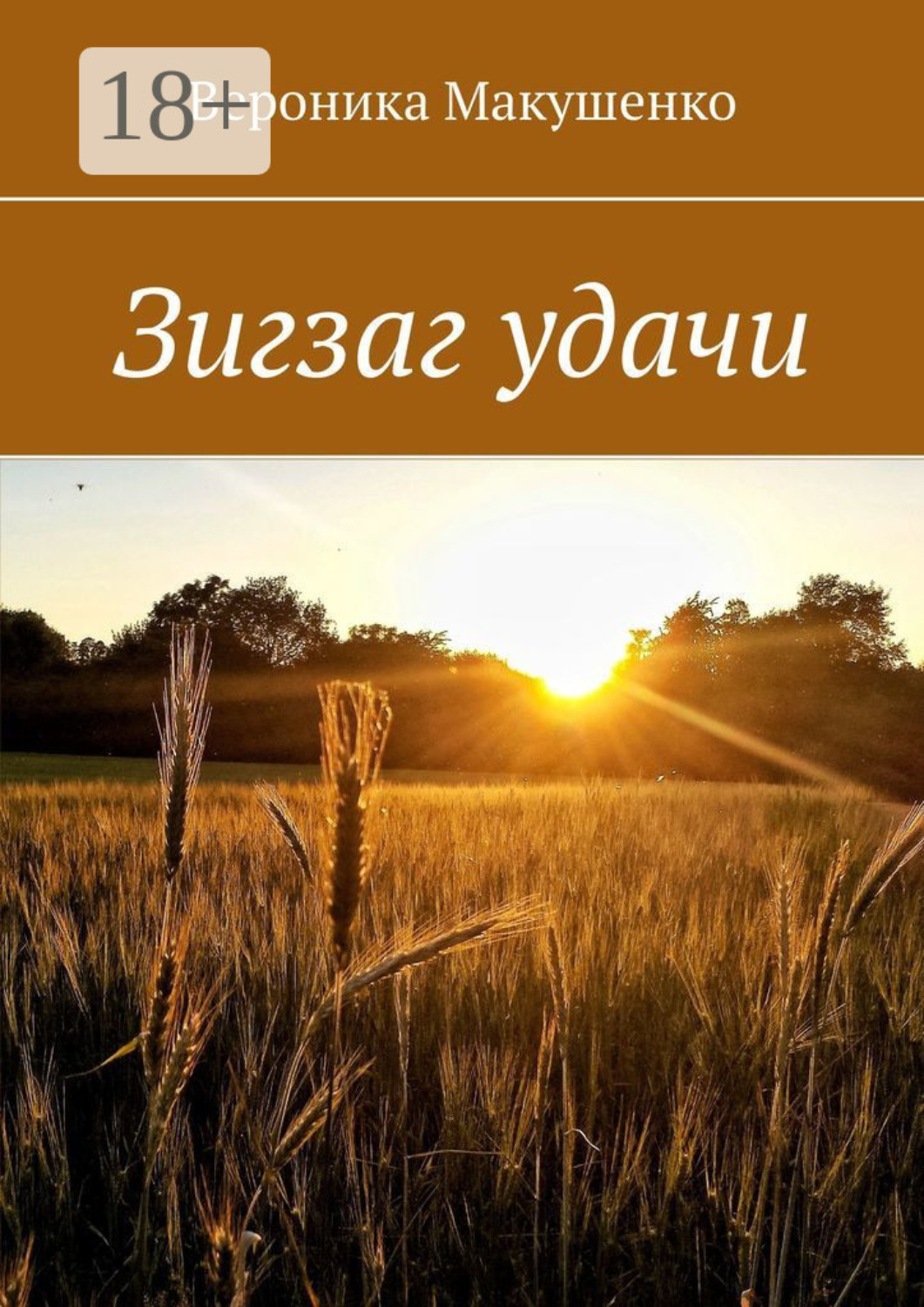 Обложка книги «Зигзаг удачи»