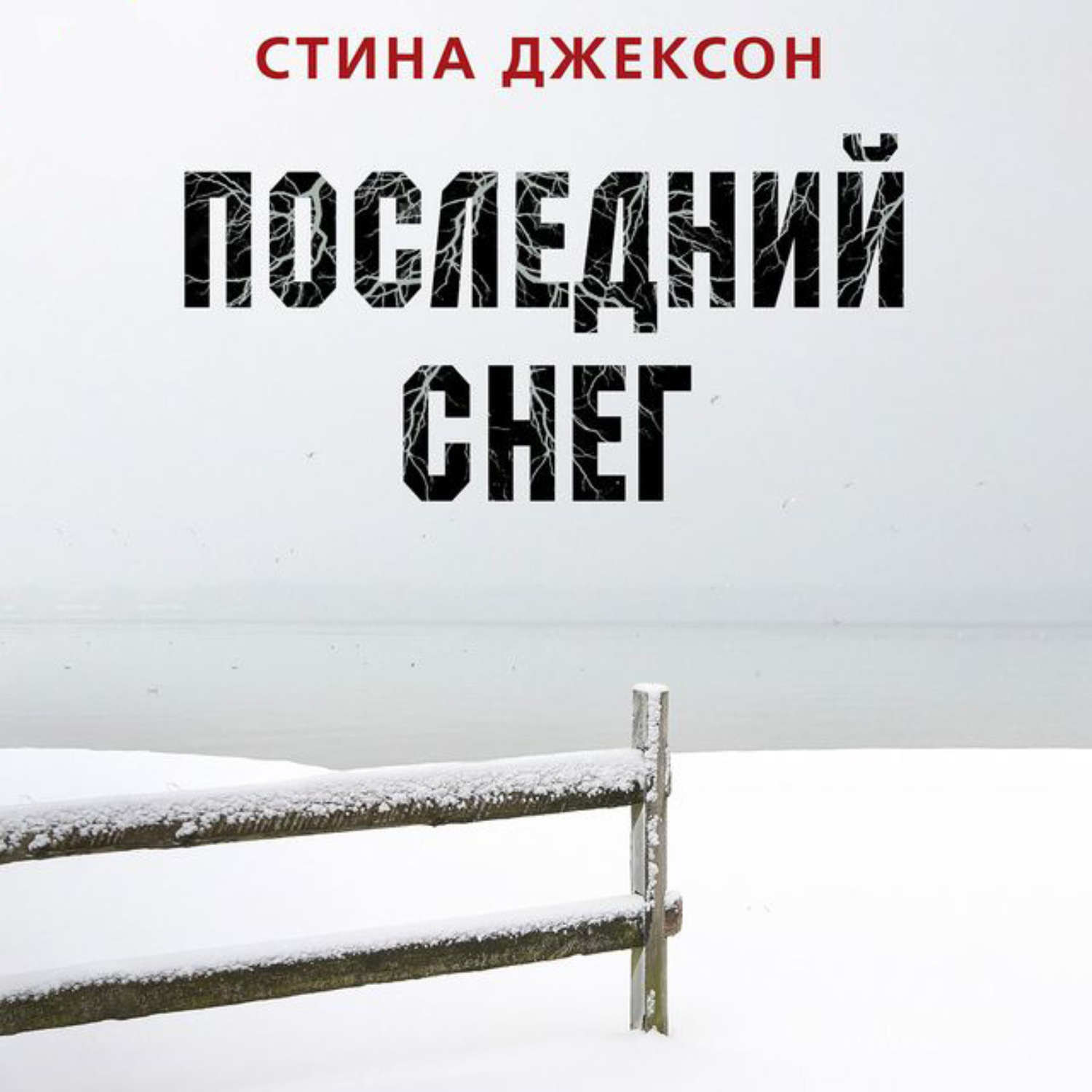 Обложка книги «Последний снег»