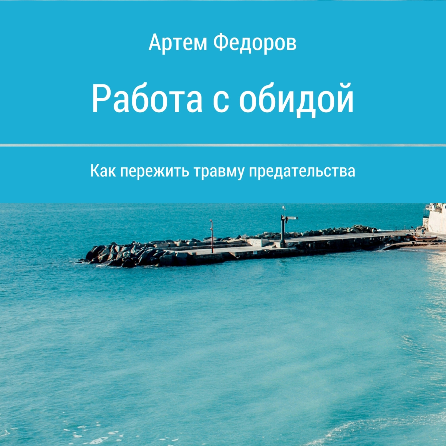 Обложка книги «Работа с обидой»