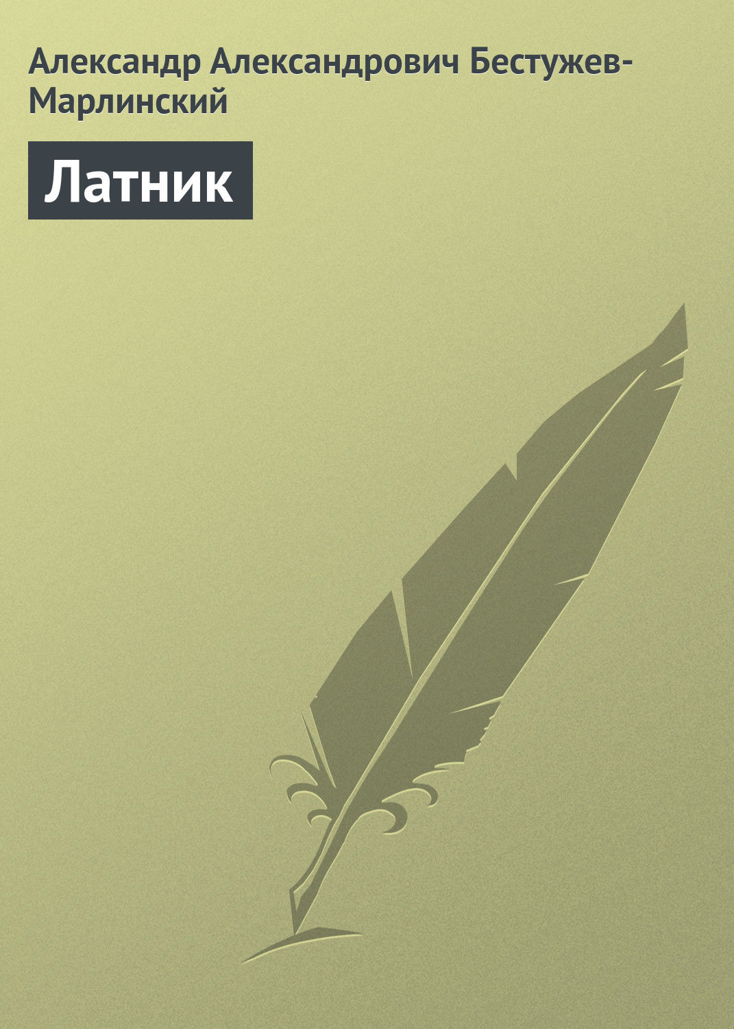 Обложка книги «Латник»