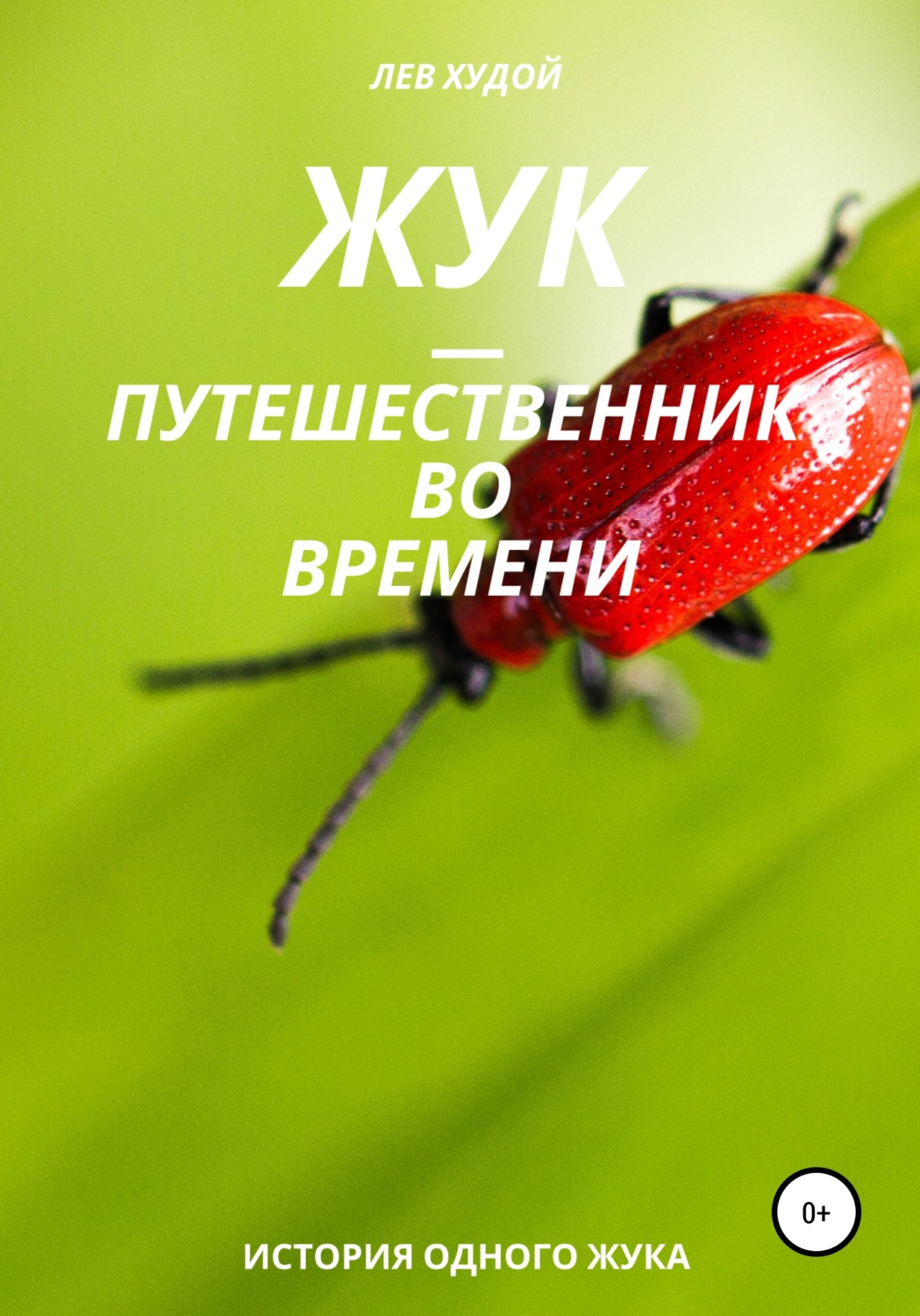 Обложка книги «Жук – путешественник во времени»