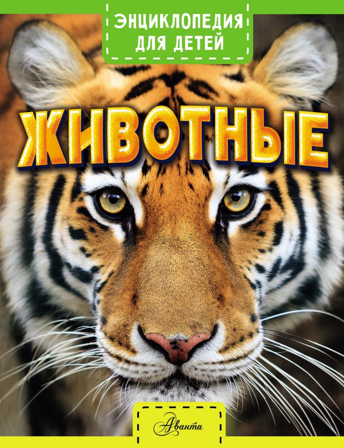Обложка книги «Животные»