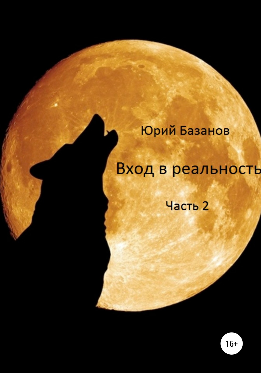 Обложка книги «Вход в реальность. Вторая часть»