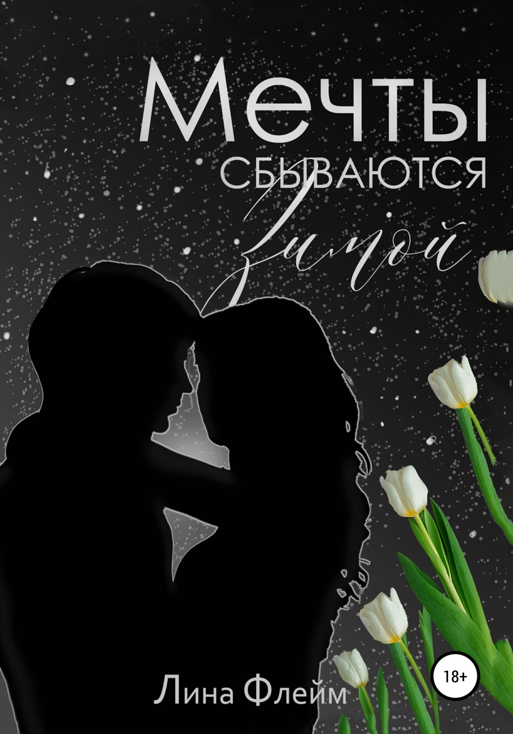 Обложка книги «Мечты сбываются зимой»