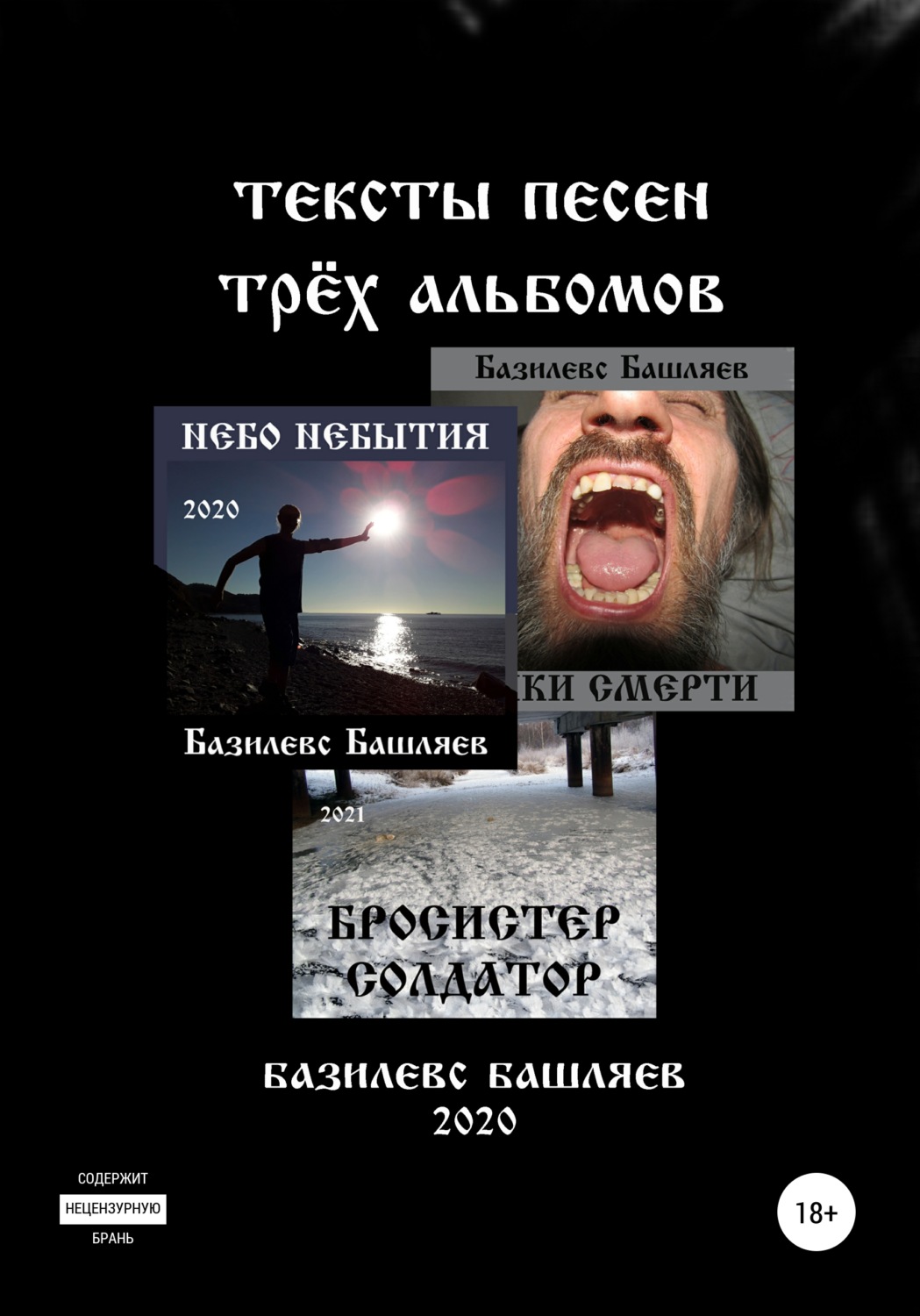 Обложка книги «Тексты песен трёх альбомов»