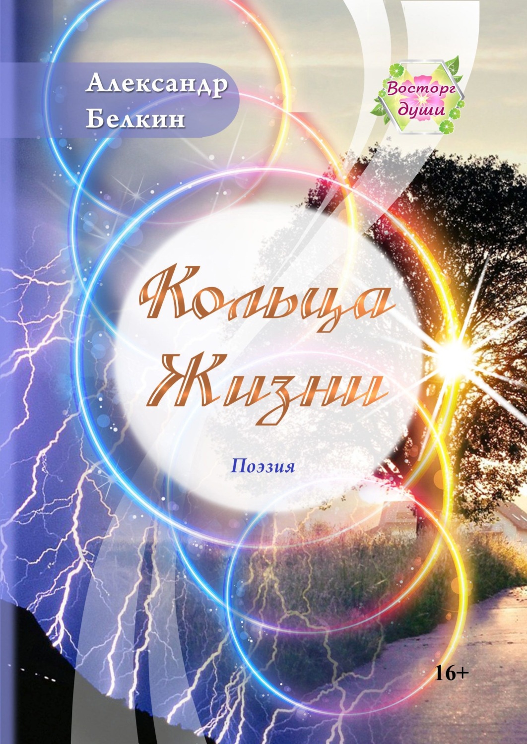 Обложка книги «Кольца жизни»