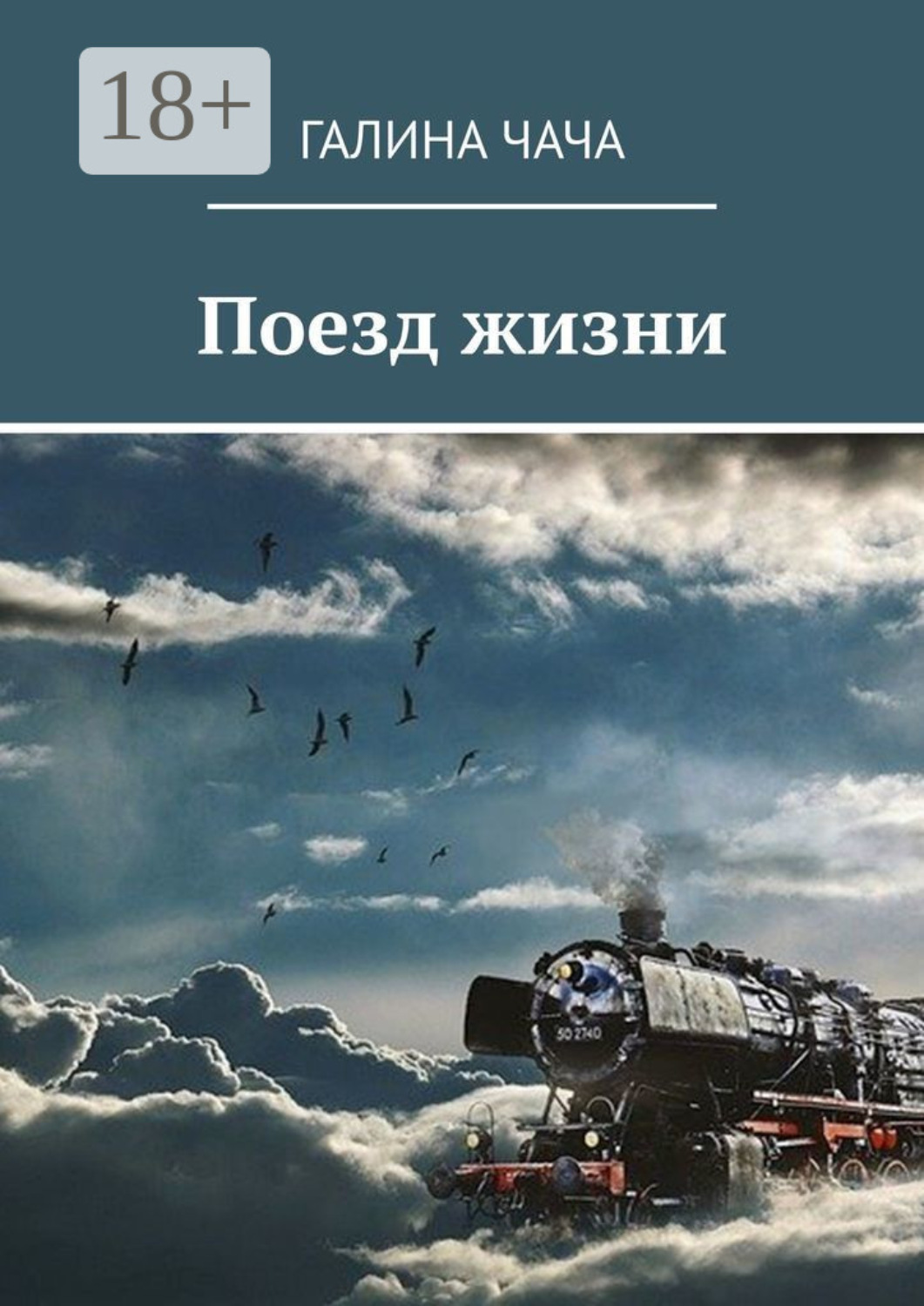 Обложка книги «Поезд жизни»