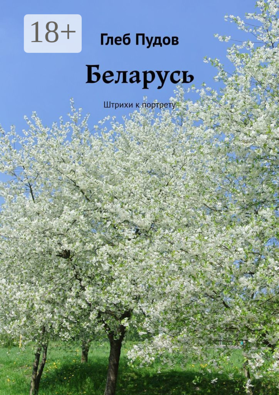 Обложка книги «Беларусь. Штрихи к портрету»