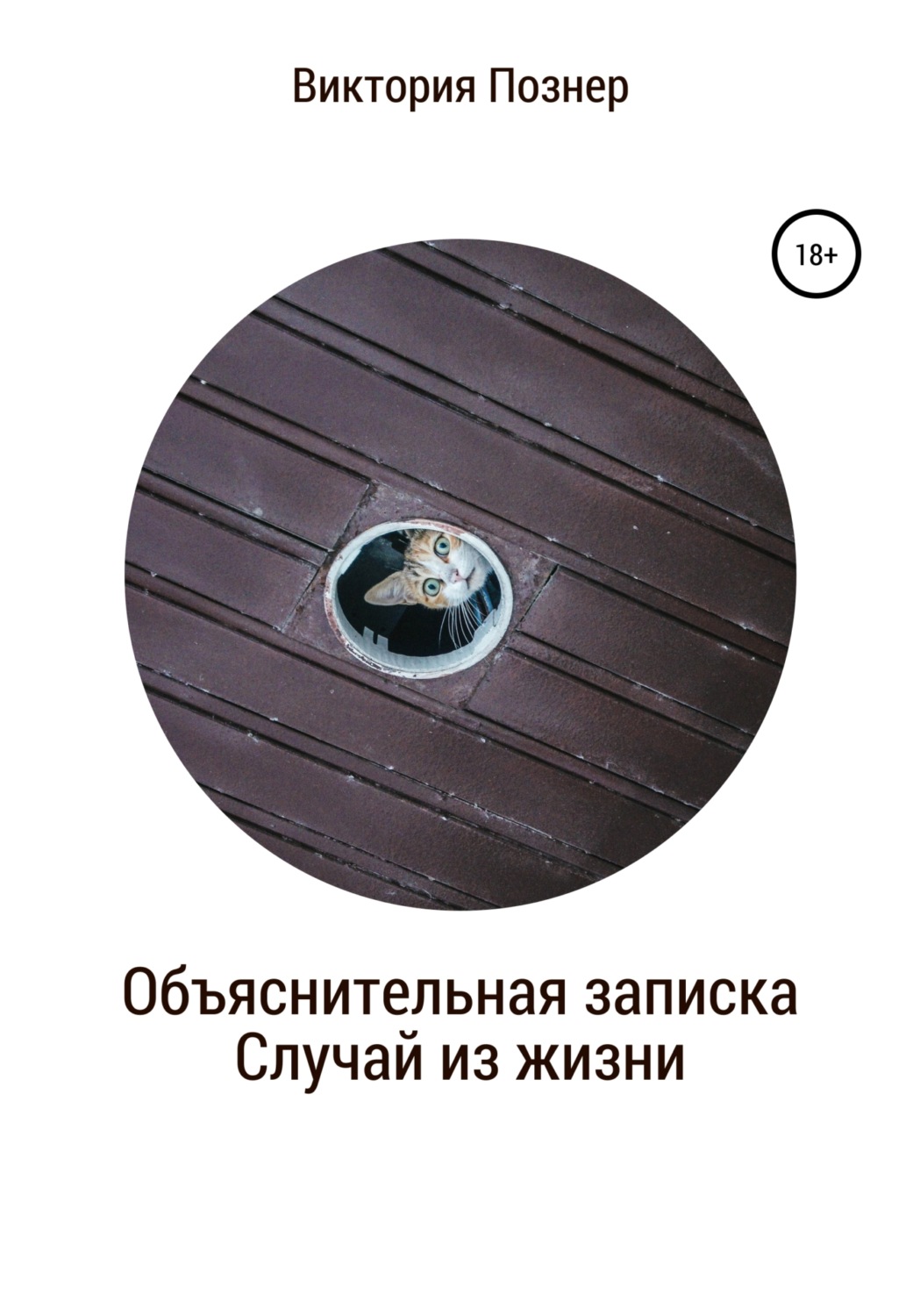 Обложка книги «Объяснительная записка»