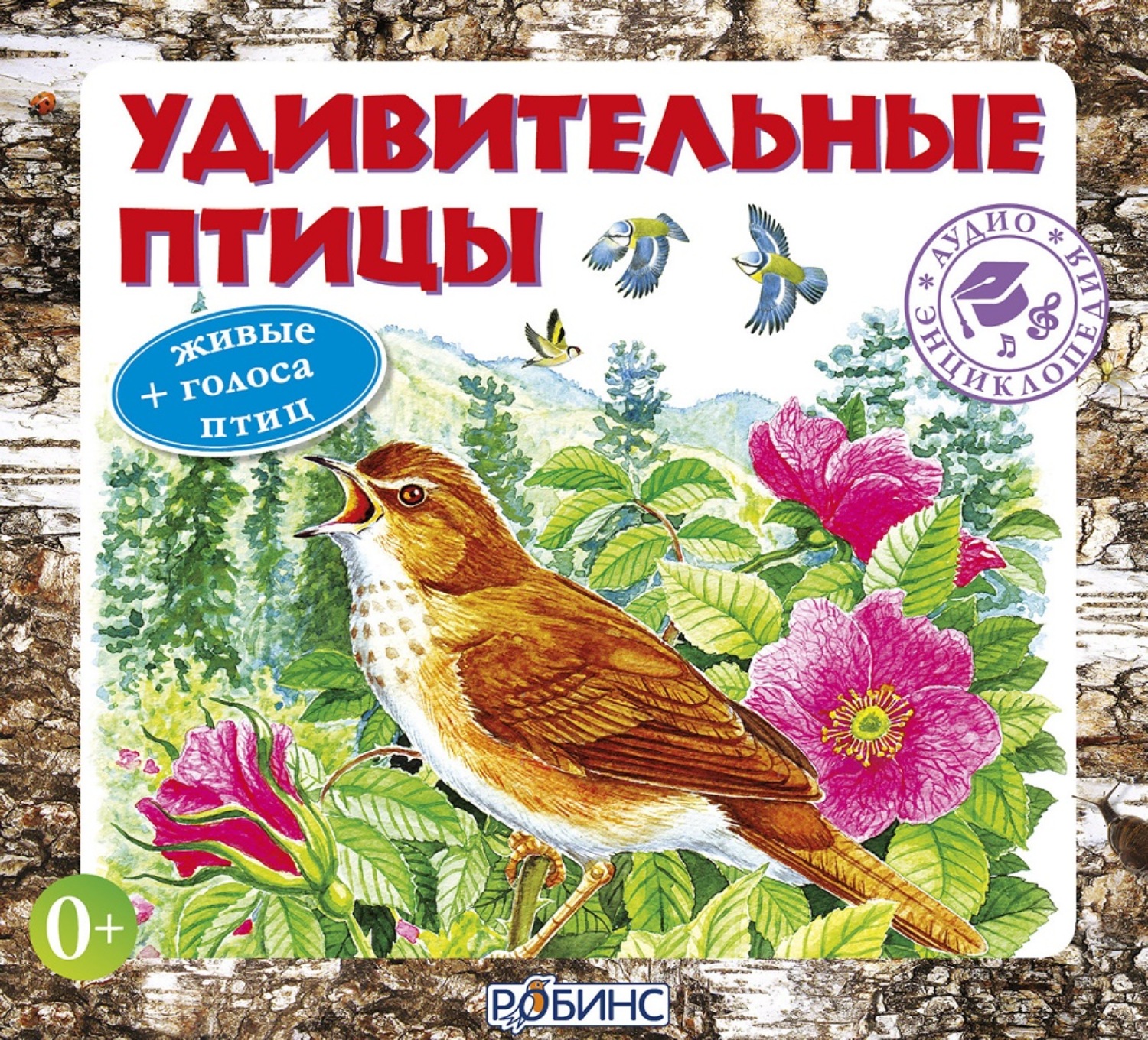 Обложка книги «Удивительные птицы»