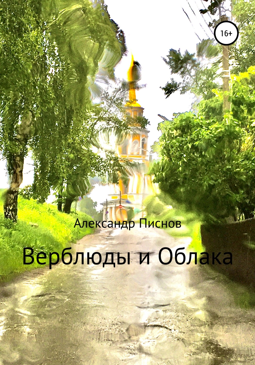 Обложка книги «Верблюды и облака»