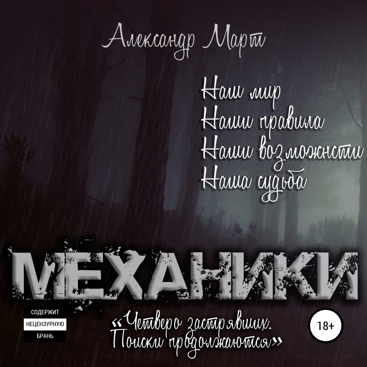 Обложка книги «Механики. Четверо застрявших. Поиски продолжаются»