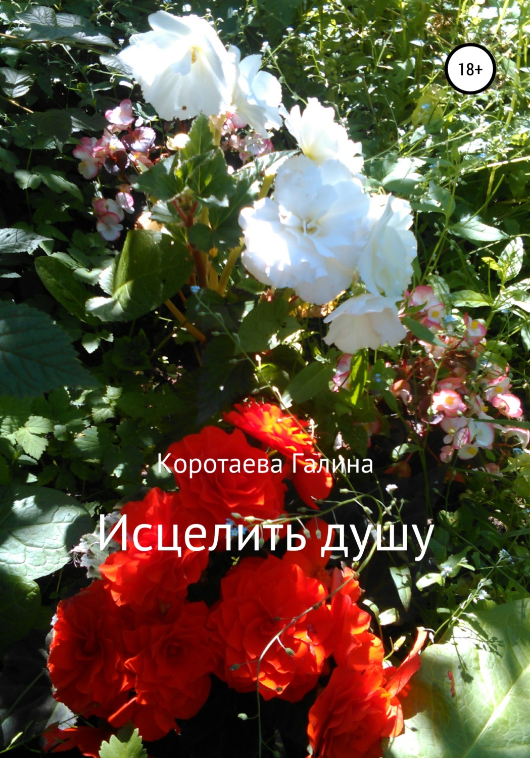 Обложка книги «Исцелить душу»