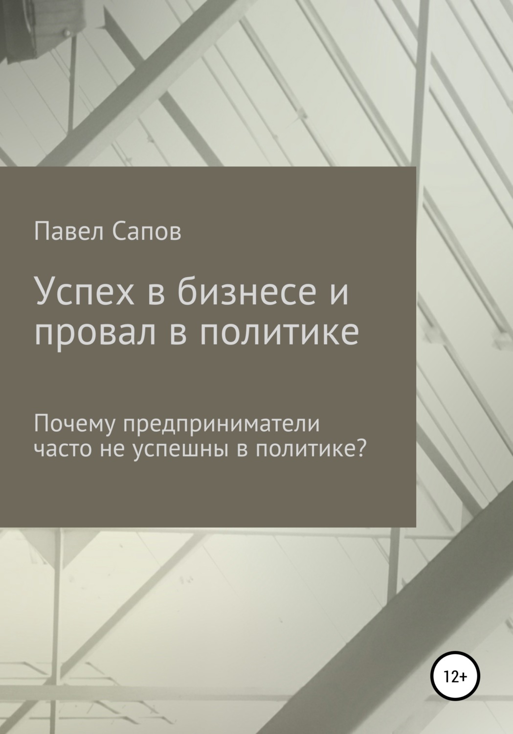 Обложка книги «Успех в бизнесе и провал в политике: почему предприниматели часто не успешны в политике?»