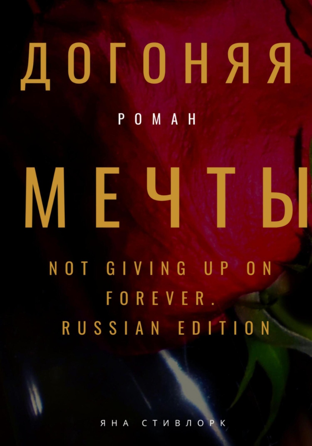 Обложка книги «Догоняя мечты»