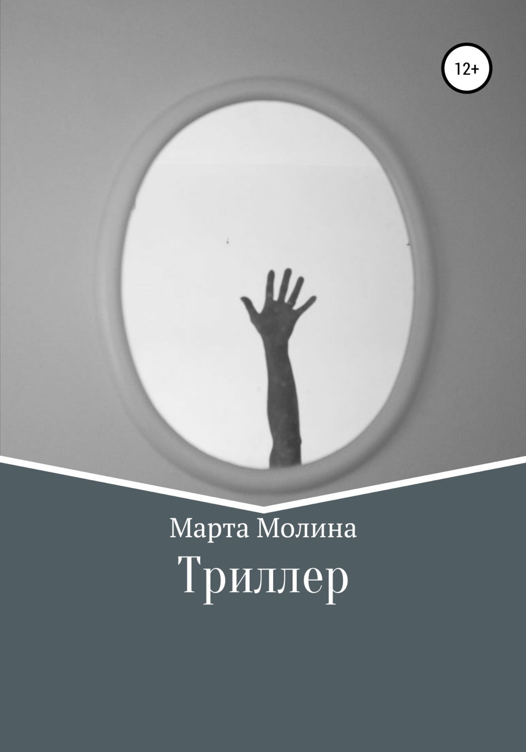 Обложка книги «Триллер»
