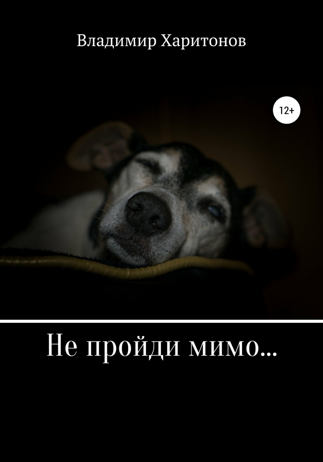 Обложка книги «Не пройди мимо…»