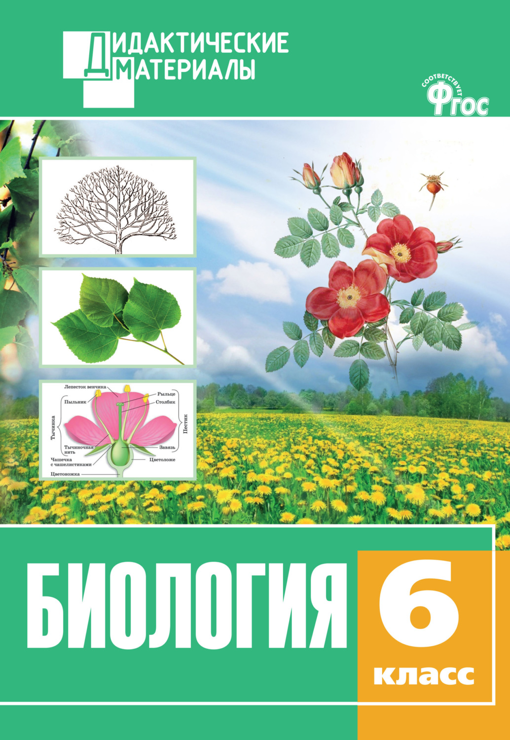 Обложка книги «Биология. Разноуровневые задания. 6 класс»