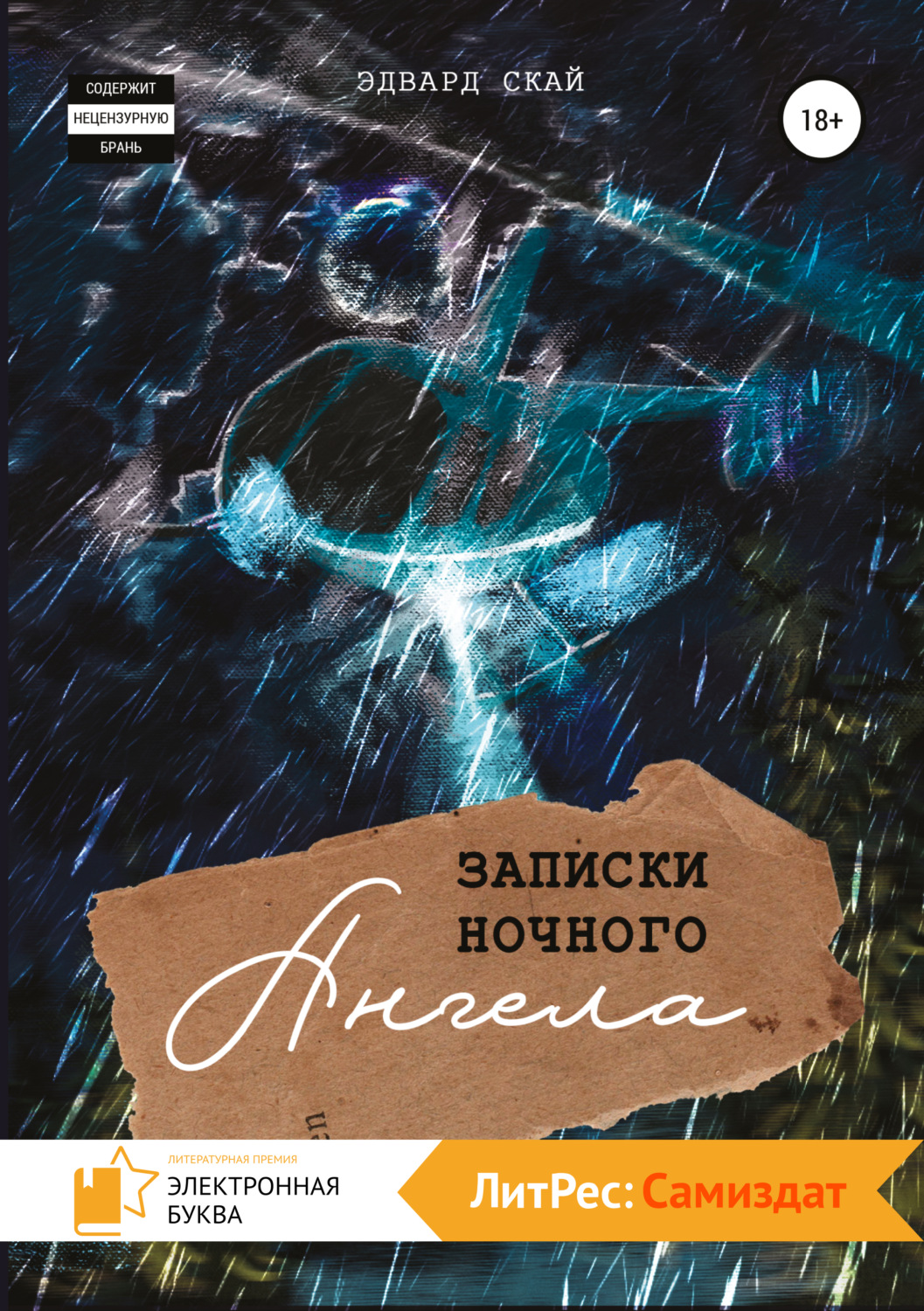 Обложка книги «Записки Ночного Ангела»