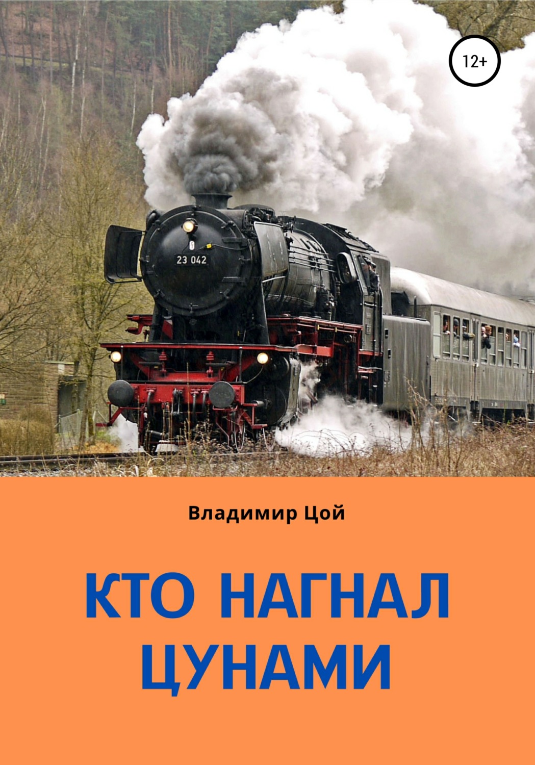 Обложка книги «Кто нагнал цунами?»