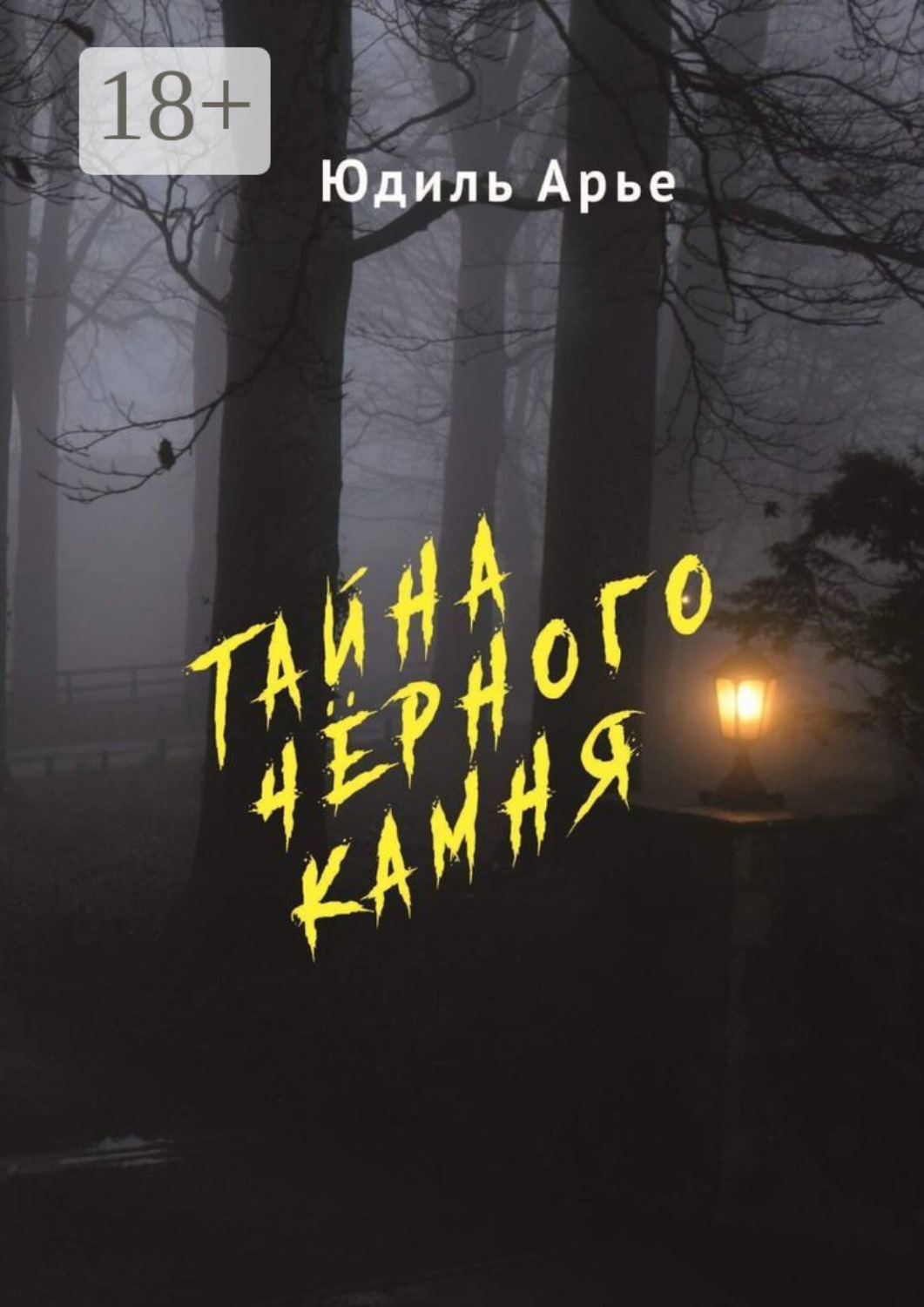 Обложка книги «Тайна чёрного камня»