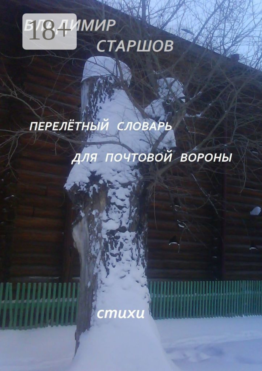 Обложка книги «Перелётный словарь для почтовой вороны»