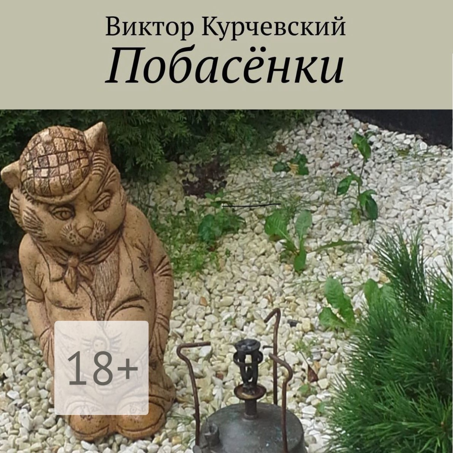 Обложка книги «Побасёнки»