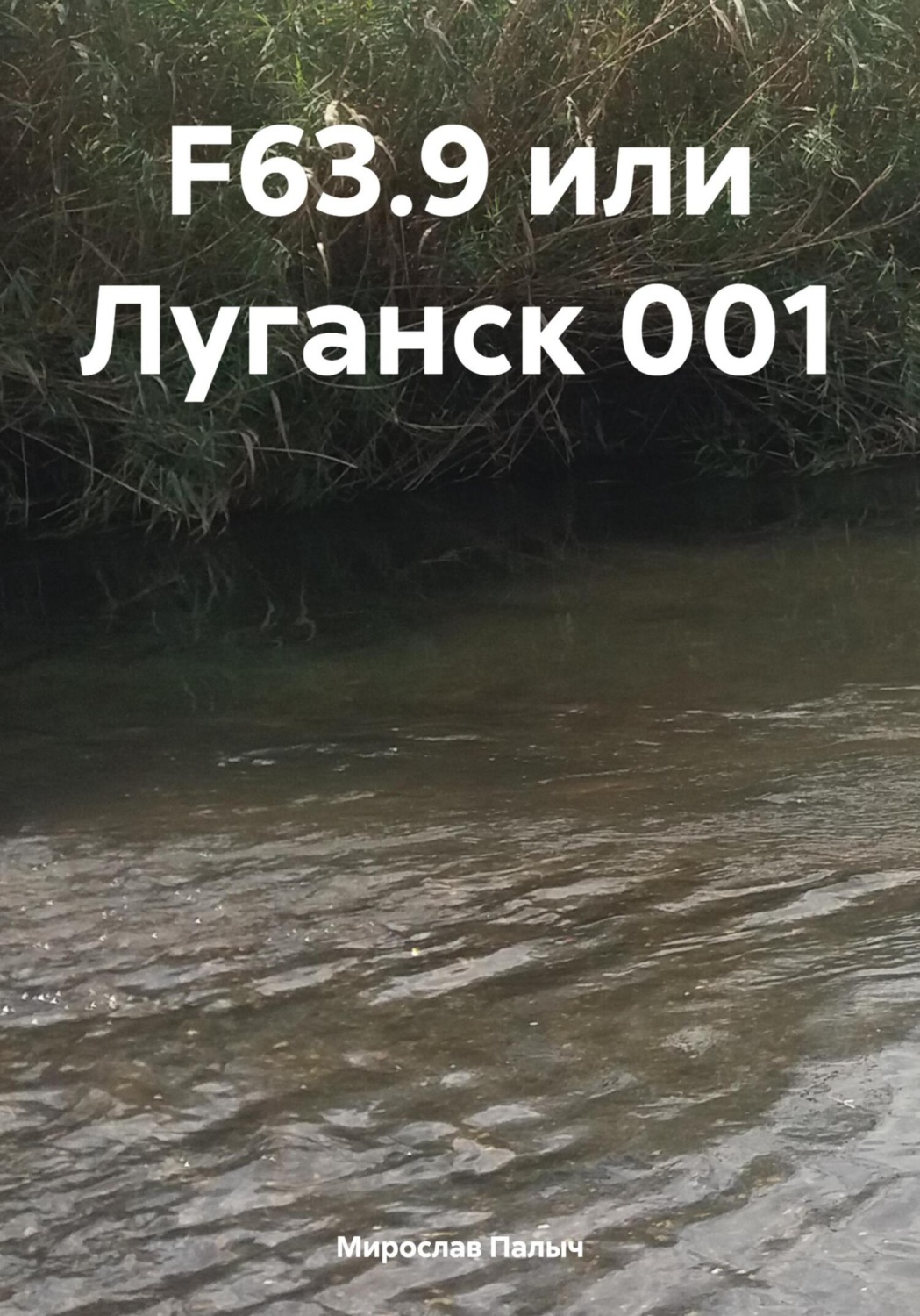 Обложка книги «F63.9 или Луганск 001»