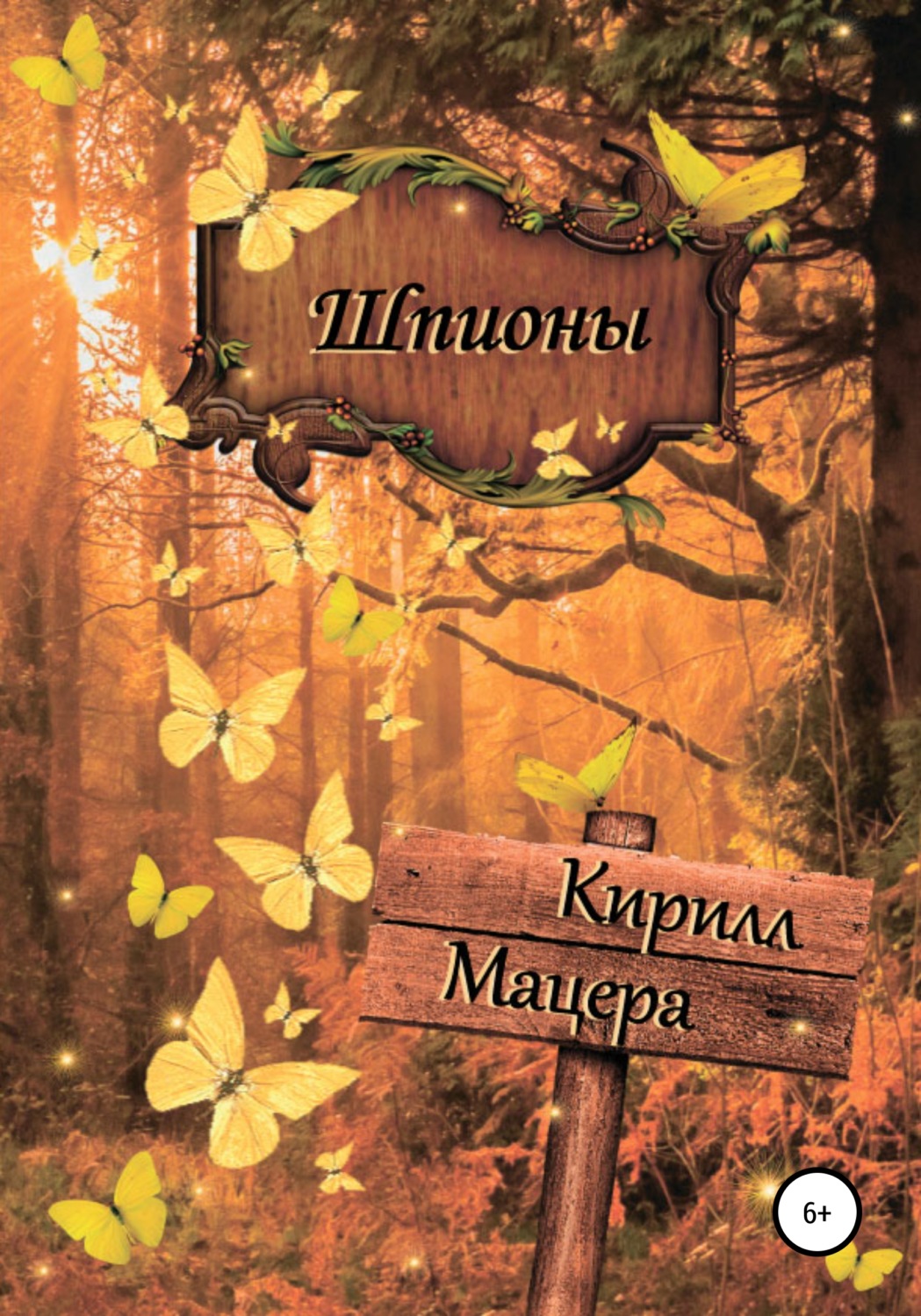 Обложка книги «Шпионы»