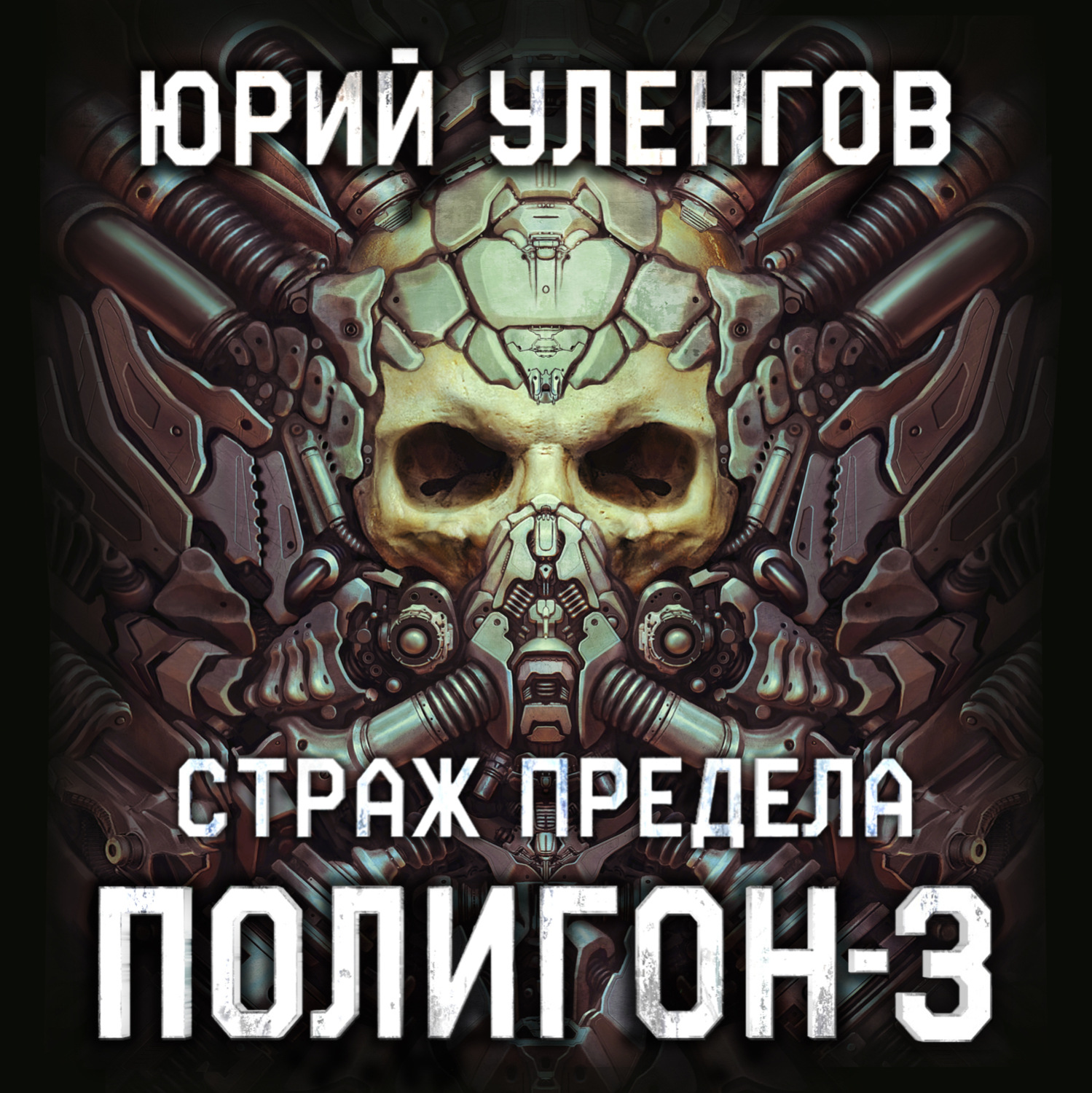 Обложка книги «Полигон-3. Страж Предела»