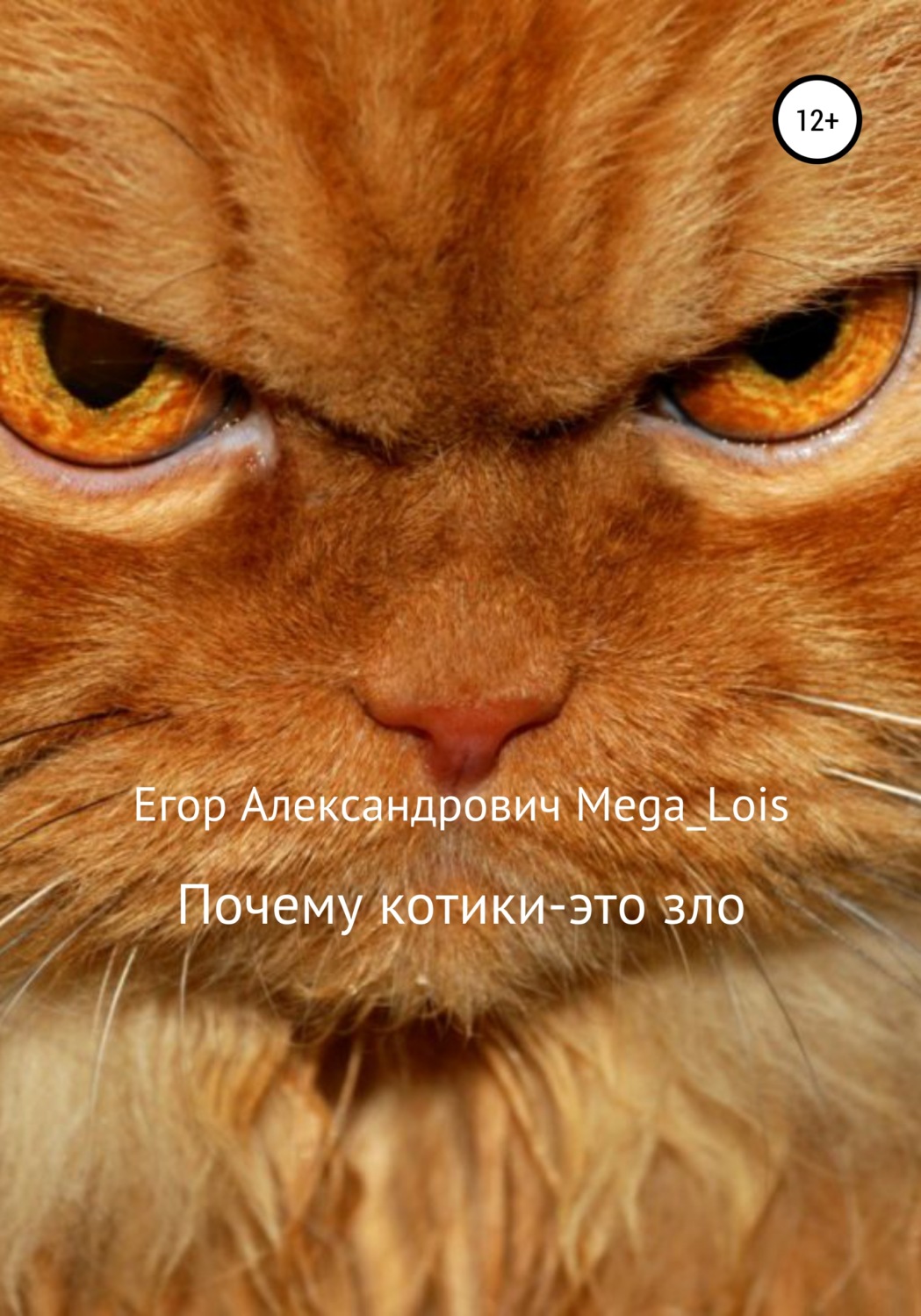 Обложка книги «Почему котики-это зло»