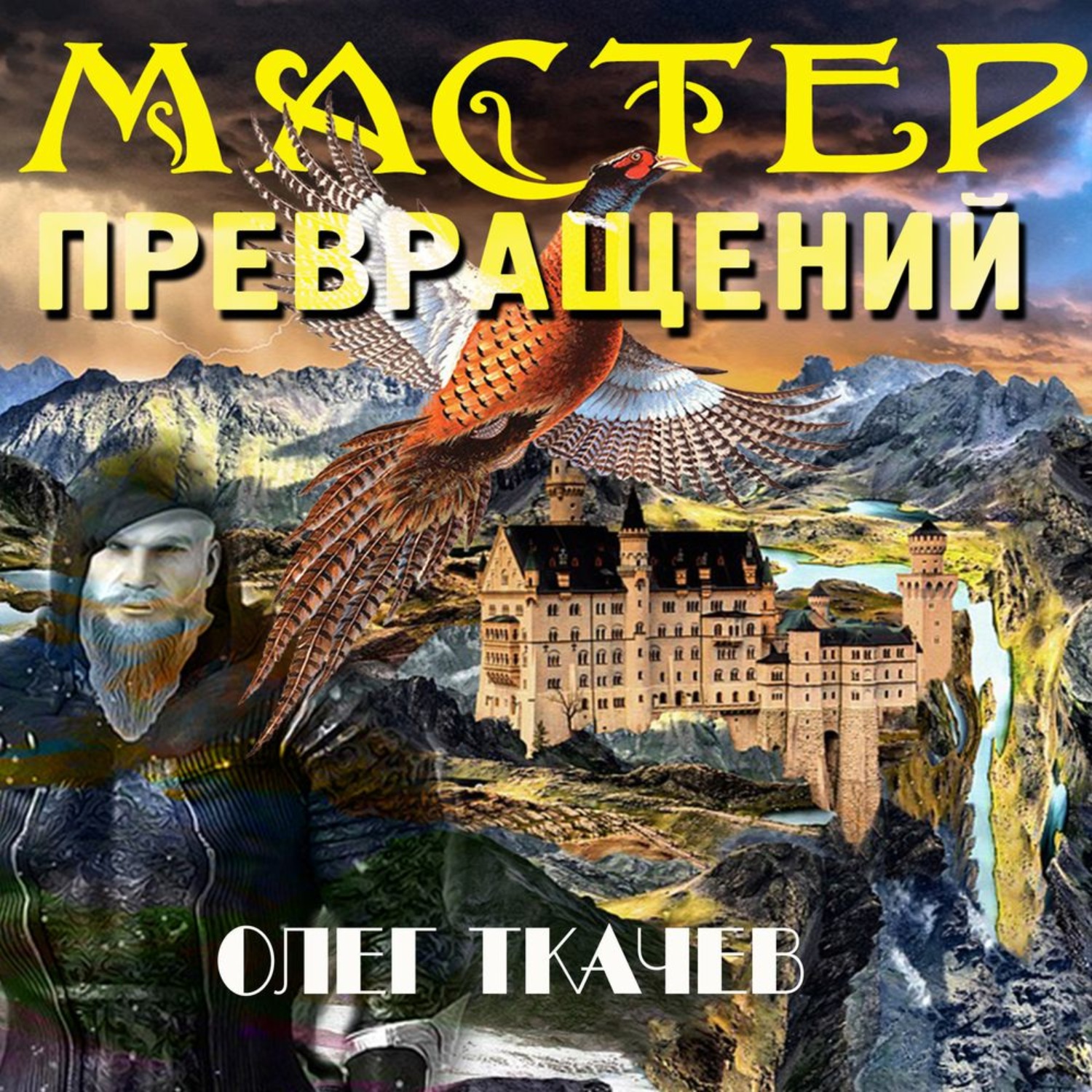 Обложка книги «Мастер превращений»