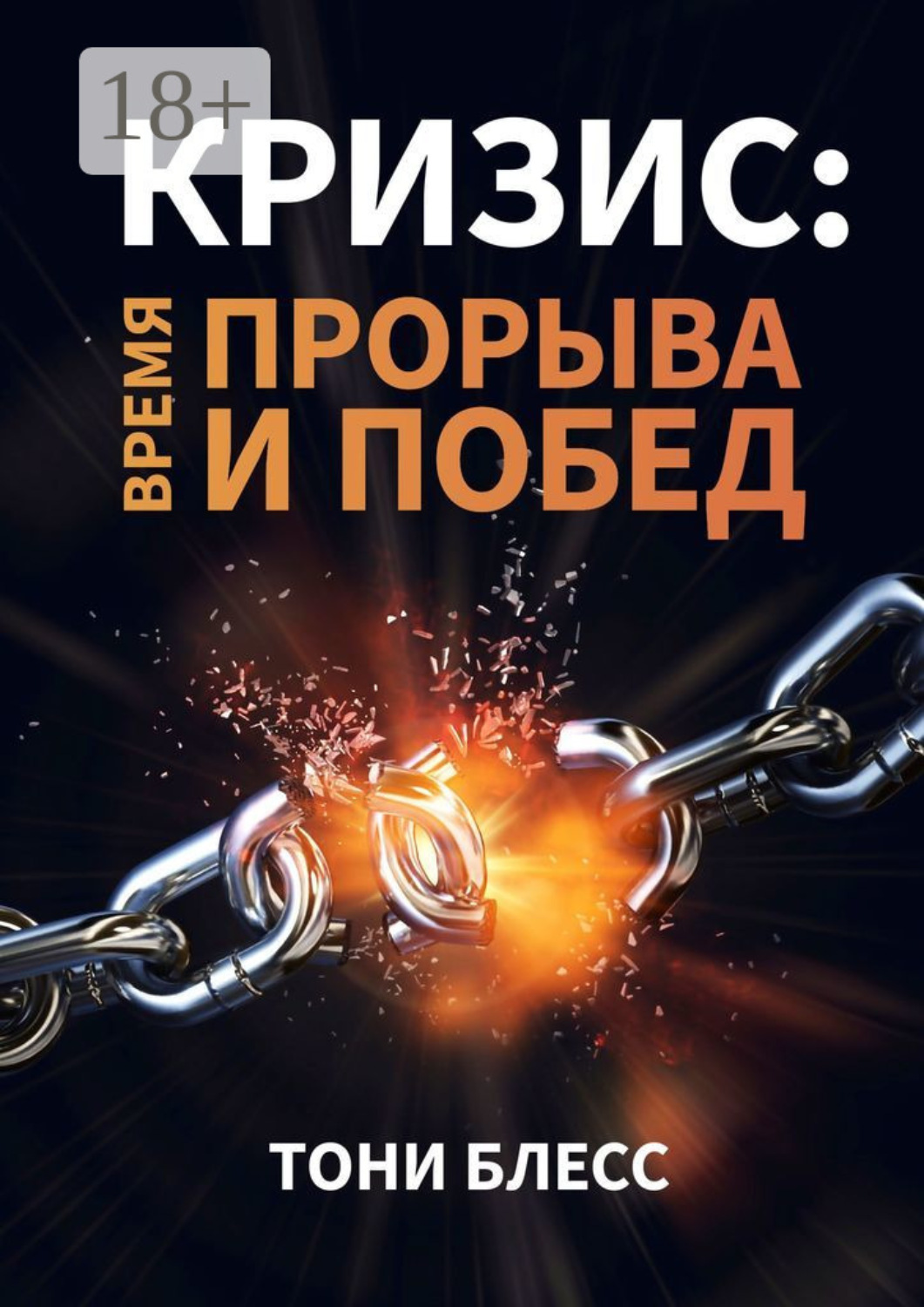 Обложка книги «Кризис: время прорыва и побед»