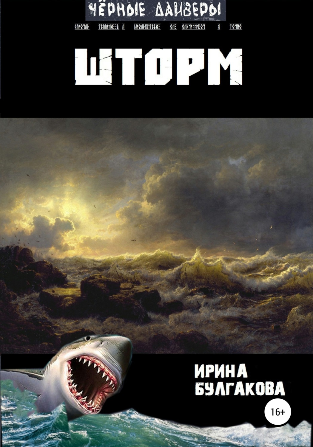 Обложка книги «Шторм»