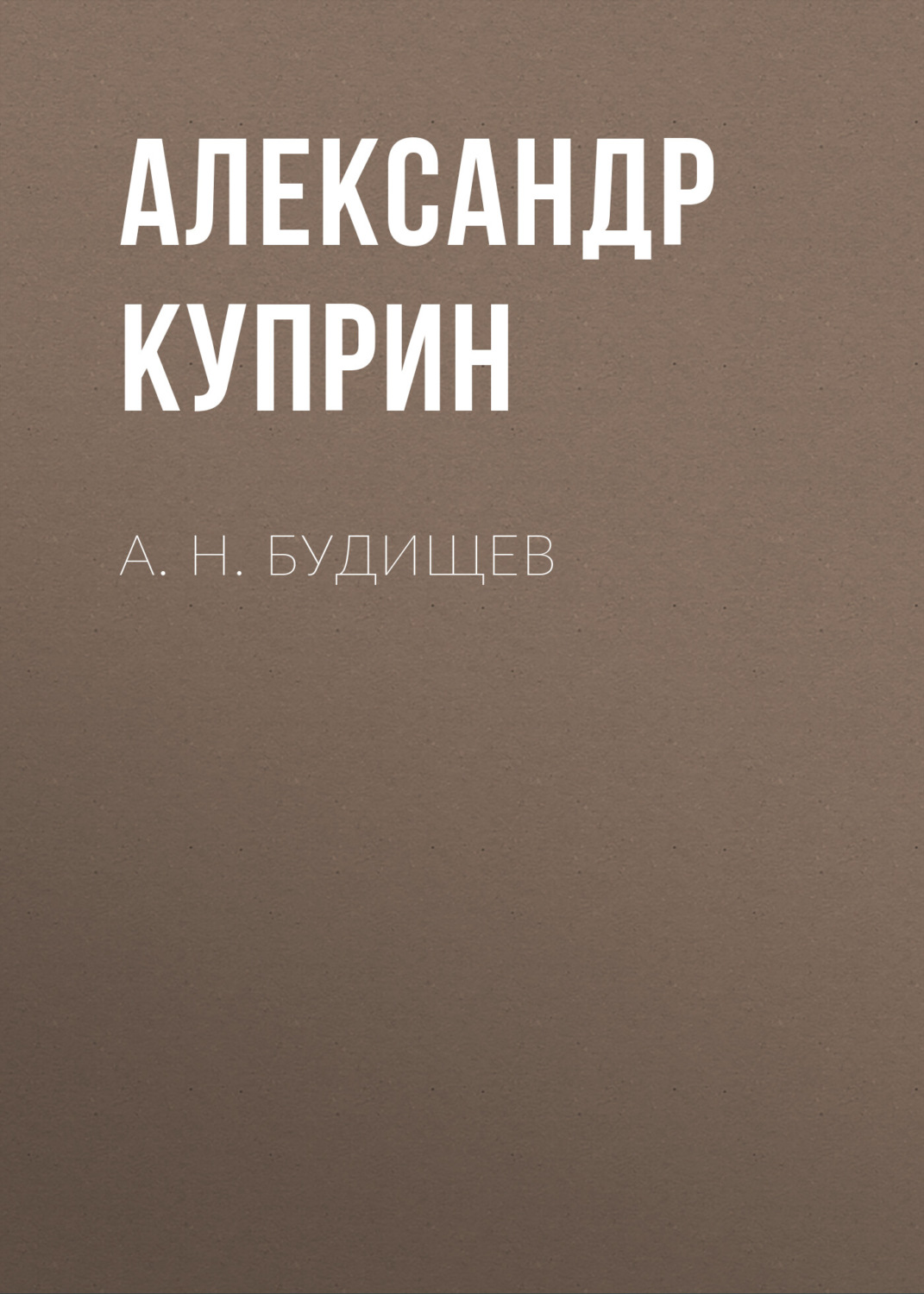 Обложка книги «А. Н. Будищев»