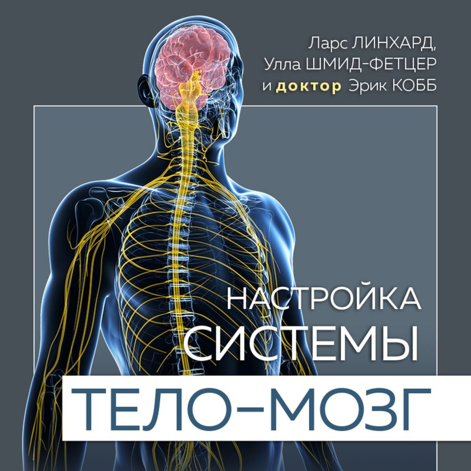 Обложка книги «Настройка системы тело – мозг. Простые упражнения для активации блуждающего нерва против депрессии, стресса, боли в теле и проблем с пищеварением»