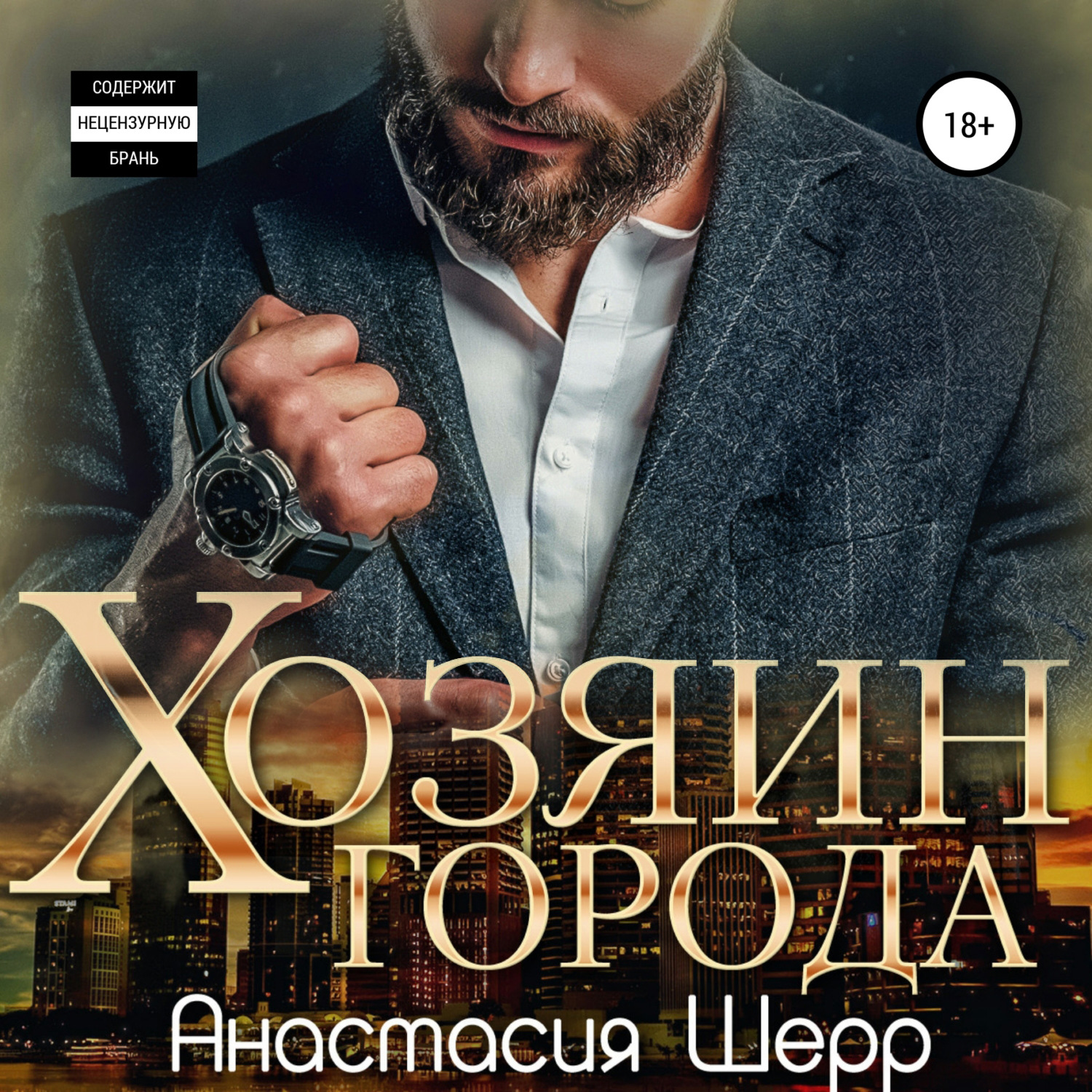 Обложка книги «Хозяин города»