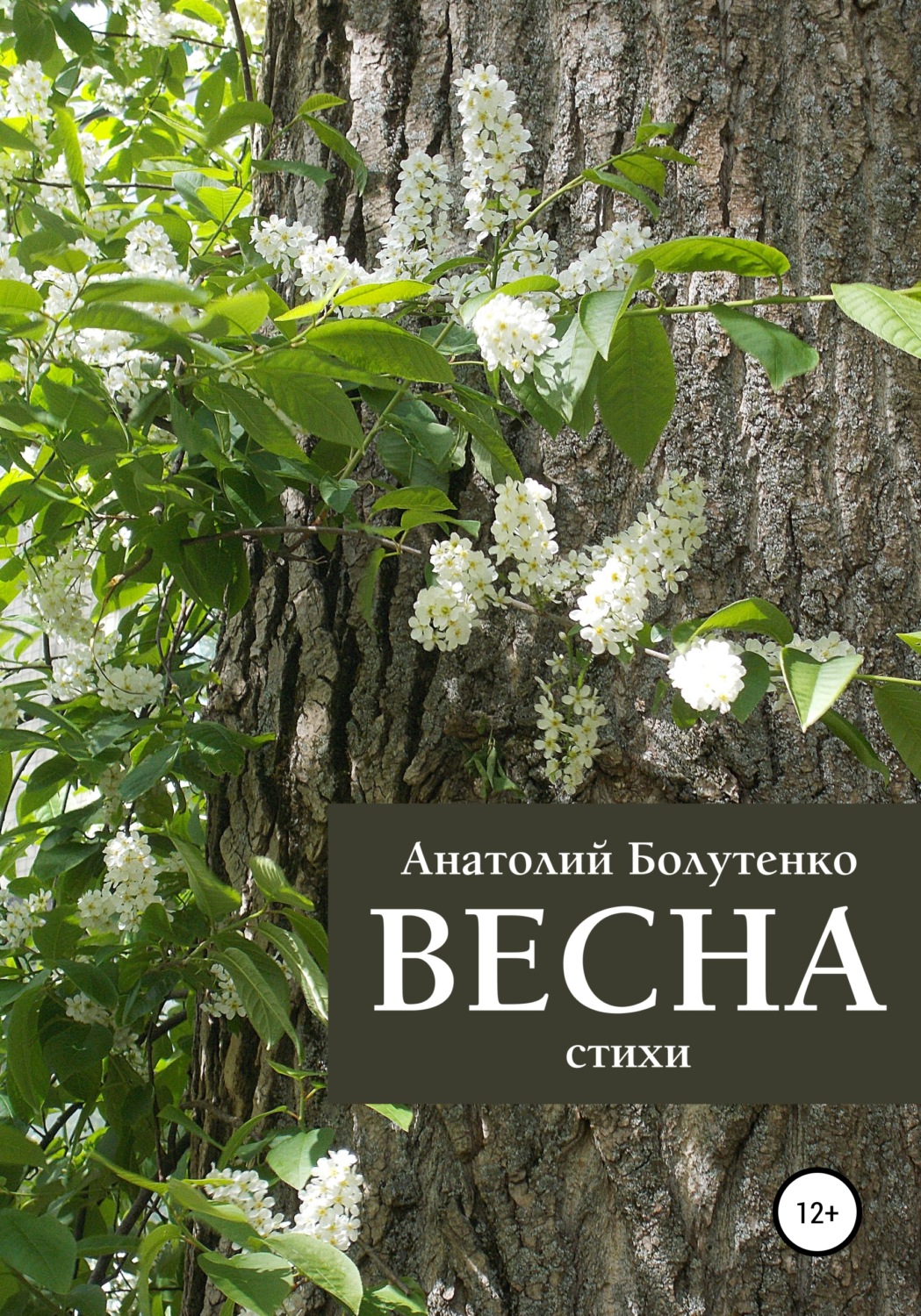 Обложка книги «Весна»