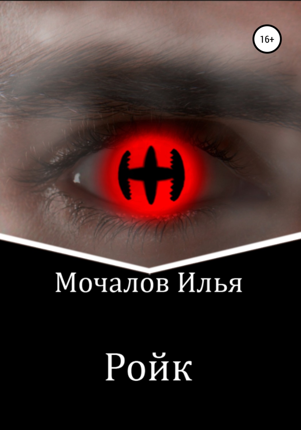 Обложка книги «Ройк»