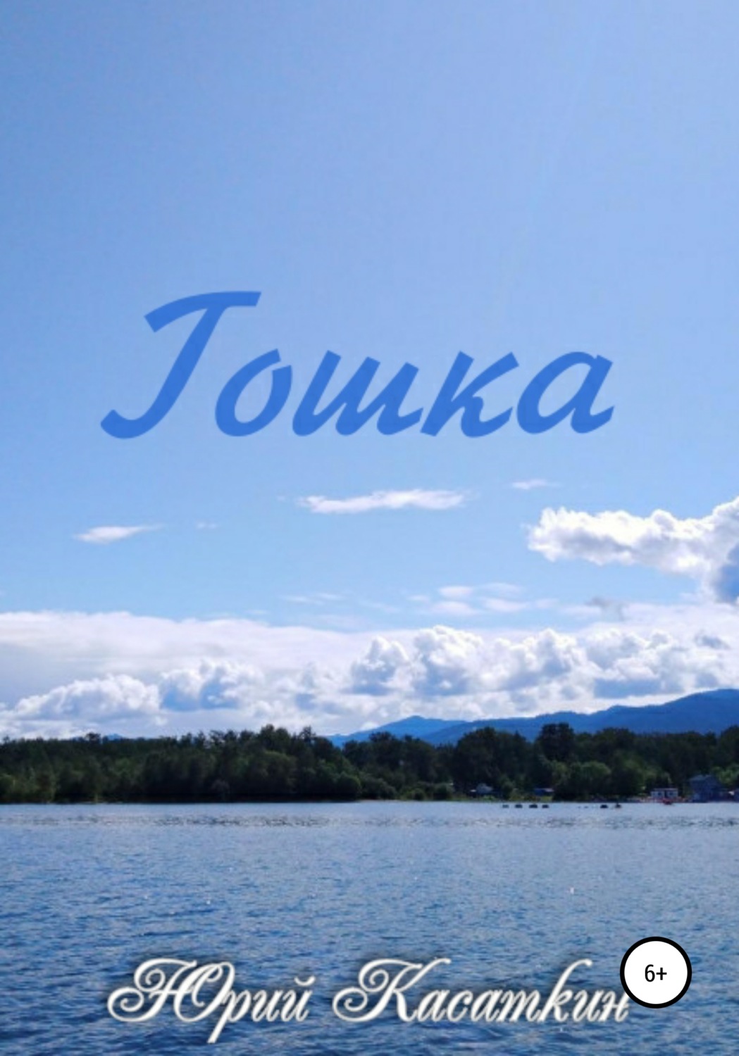 Обложка книги «Гошка»