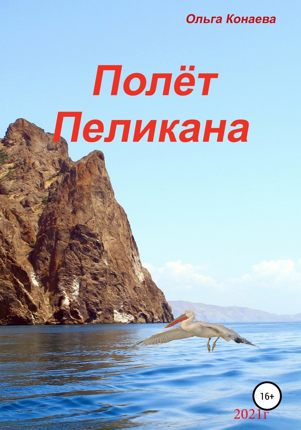 Обложка книги «Полёт пеликана»