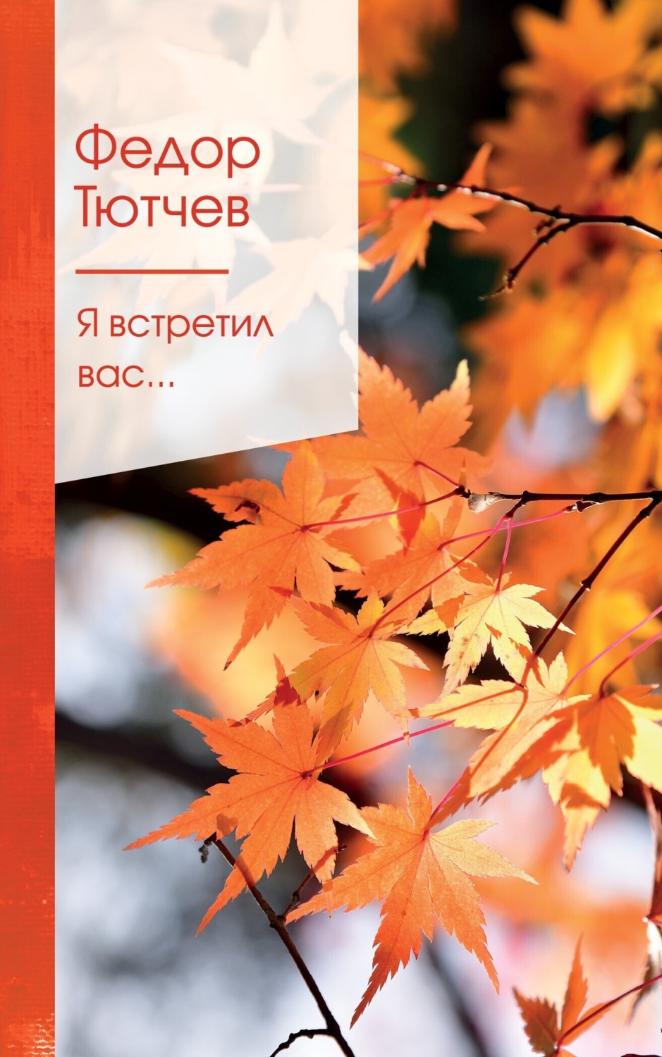 Обложка книги «Я встретил вас…»