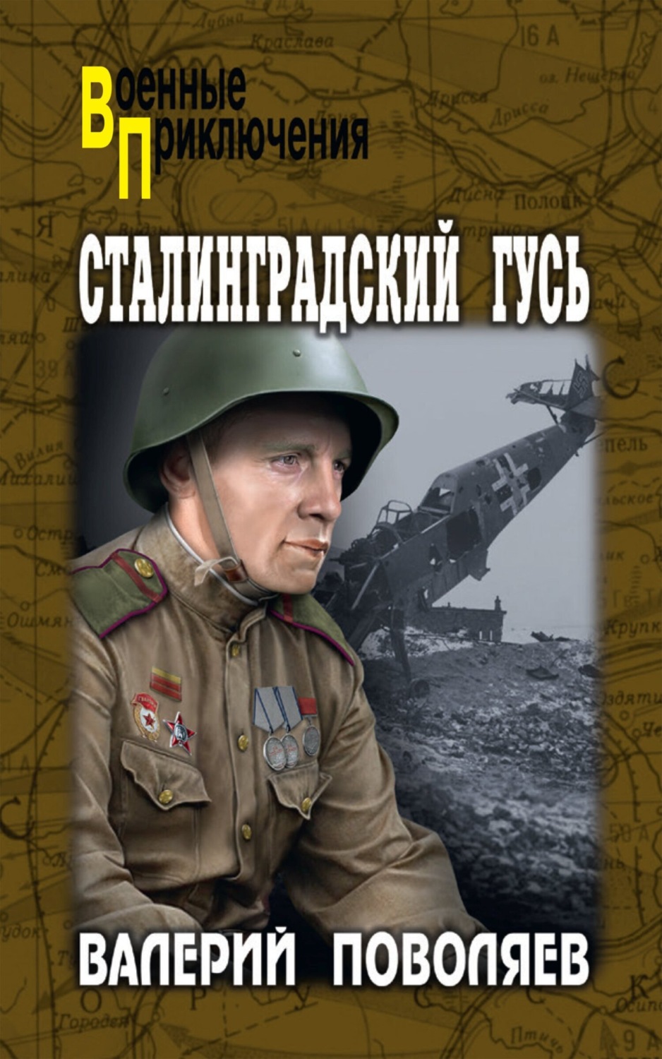 Обложка книги «Сталинградский гусь»