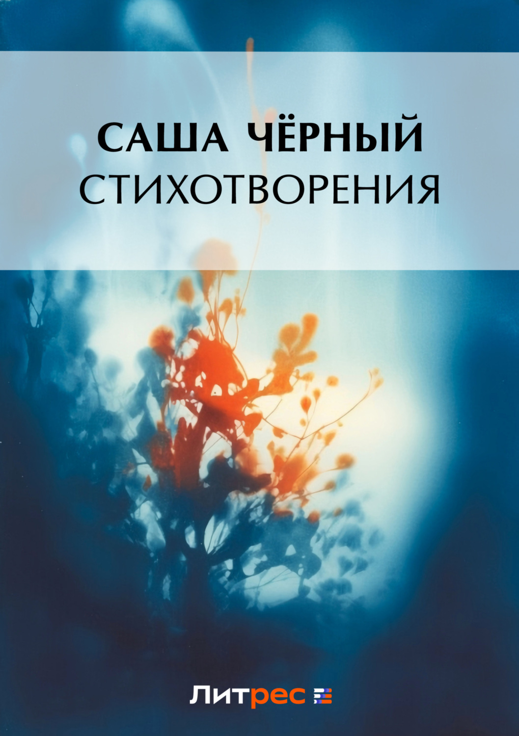Обложка книги «Стихотворения»