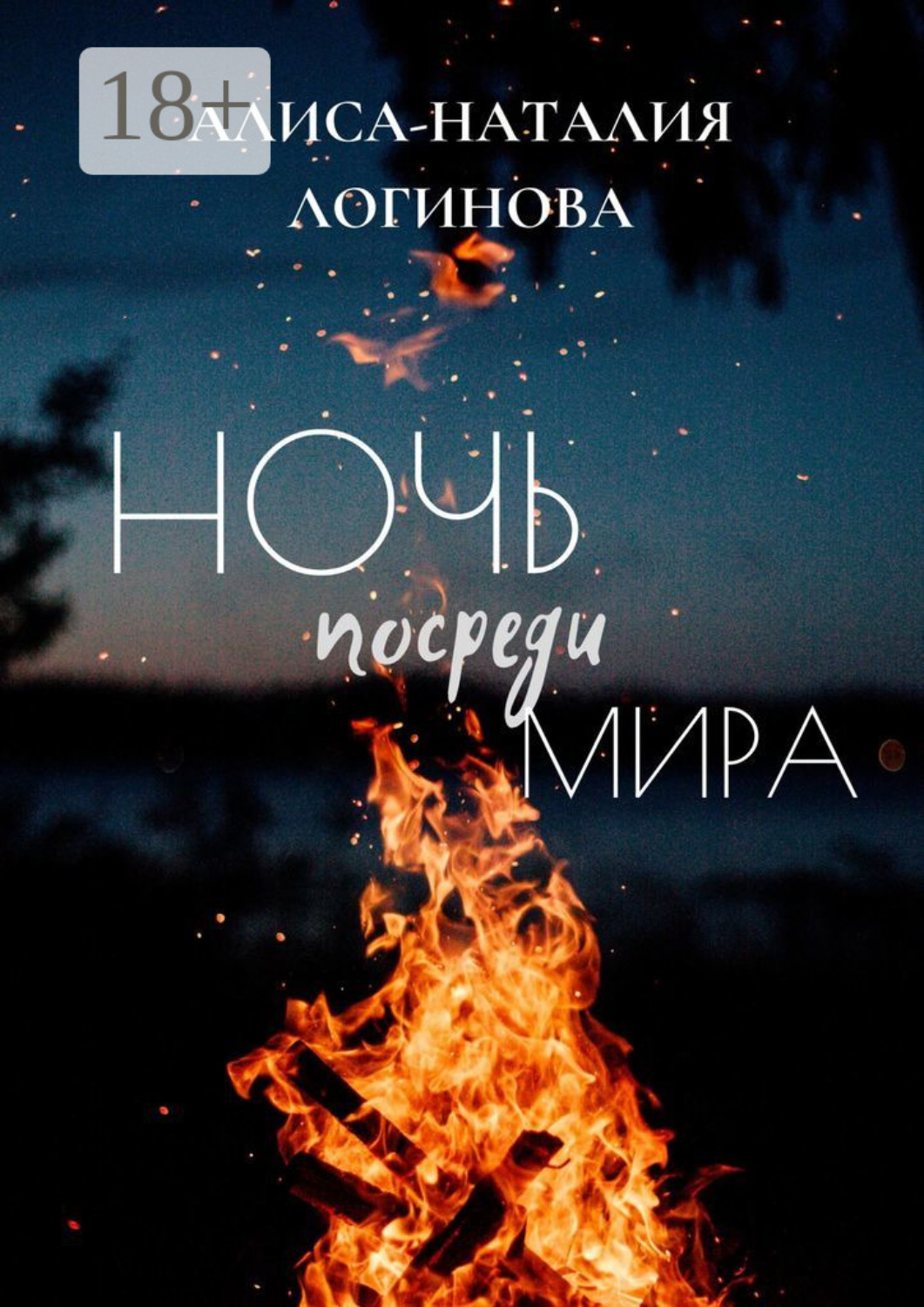 Обложка книги «Ночь посреди мира»