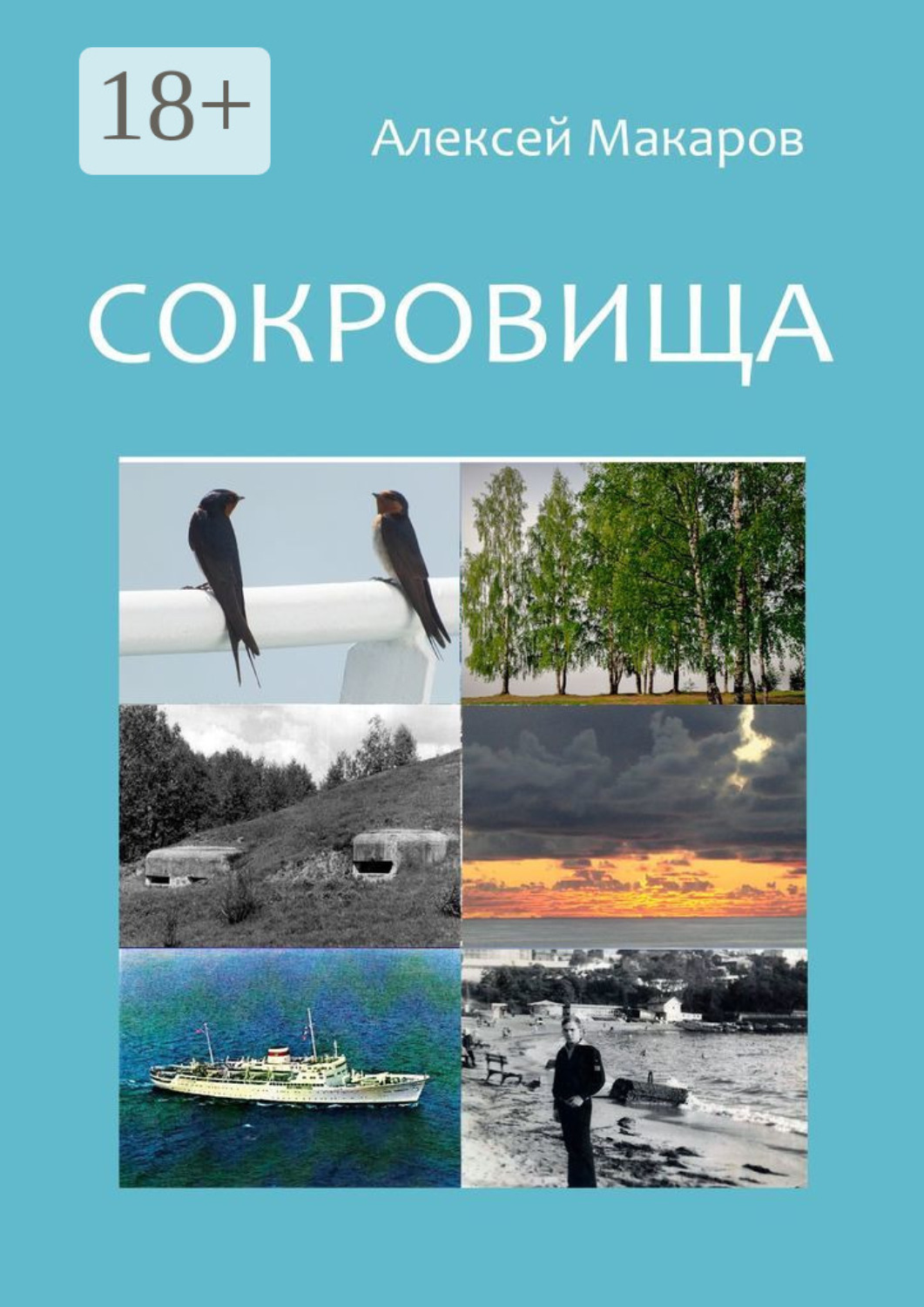 Обложка книги «Сокровища»