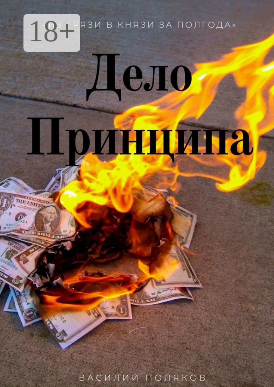 Обложка книги «Дело Принципа»