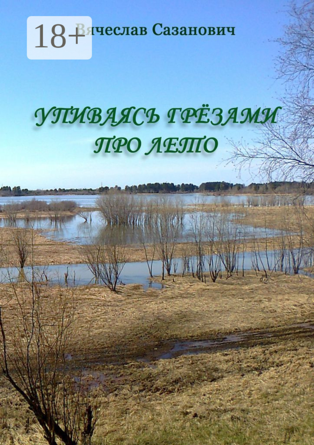 Обложка книги «Упиваясь грёзами про лето»
